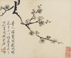 Paisajes, flores y aves: Ciruelo, Dinastía Qing, 1780